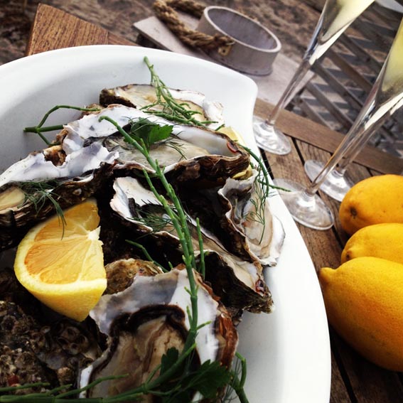 Härliga höstbilder